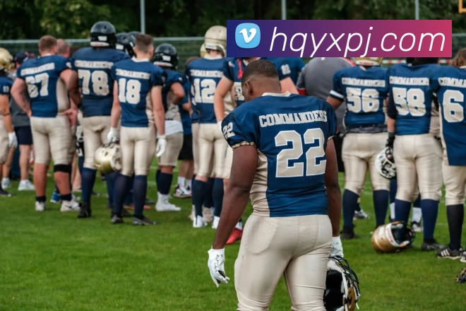 新葡京娱乐城平台生态图